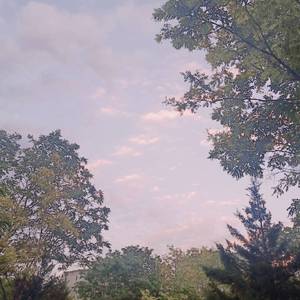 放荡饥渴熟妇高潮对白
