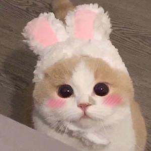 放荡饥渴熟妇高潮对白
